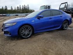 Salvage cars for sale from Copart Bowmanville, ON: 2020 Acura TLX Technology