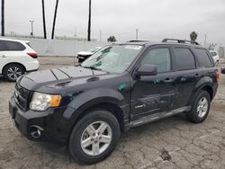 Salvage cars for sale at Van Nuys, CA auction: 2009 Ford Escape Hybrid