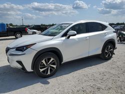 Salvage cars for sale at Arcadia, FL auction: 2021 Lexus NX 300 Base