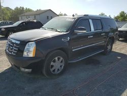 Salvage cars for sale at York Haven, PA auction: 2007 Cadillac Escalade ESV