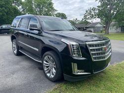 Salvage cars for sale from Copart Lebanon, TN: 2019 Cadillac Escalade Premium Luxury