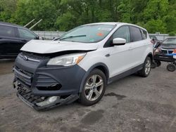 Vehiculos salvage en venta de Copart Glassboro, NJ: 2016 Ford Escape SE