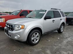 Salvage cars for sale at Cahokia Heights, IL auction: 2010 Ford Escape XLT