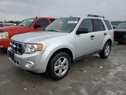 Ford Escape XLT Vehiculos salvage en venta: 2010 Ford Escape XLT