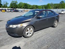 Salvage cars for sale at auction: 2010 KIA Forte EX