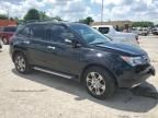 2009 Acura MDX