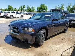 Salvage cars for sale at auction: 2011 Dodge Charger