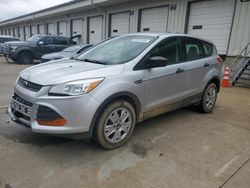 Salvage cars for sale at Louisville, KY auction: 2015 Ford Escape S