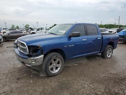 Salvage cars for sale at Indianapolis, IN auction: 2010 Dodge RAM 1500