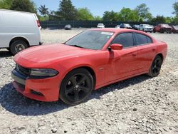 Salvage cars for sale at Madisonville, TN auction: 2016 Dodge Charger R/T