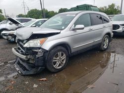 Salvage cars for sale at Columbus, OH auction: 2010 Honda CR-V EXL