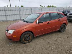 Salvage cars for sale at Nisku, AB auction: 2005 Ford Focus ZX5
