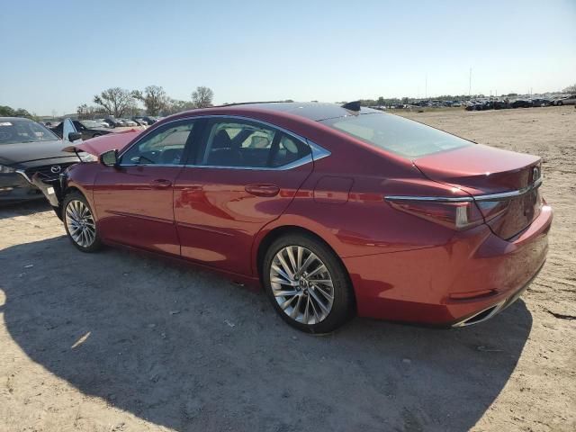 2019 Lexus ES 350