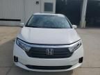 2024 Honda Odyssey EXL