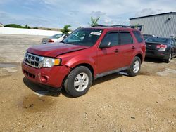 Ford salvage cars for sale: 2012 Ford Escape XLT