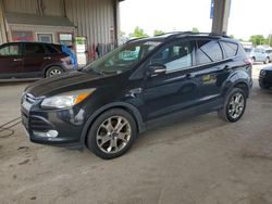 2013 Ford Escape SEL en venta en Fort Wayne, IN