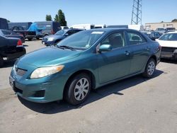 Salvage cars for sale from Copart Hayward, CA: 2009 Toyota Corolla Base