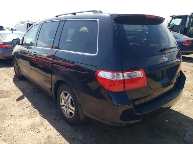 2005 Honda Odyssey EXL