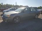 2006 Chevrolet Malibu LTZ