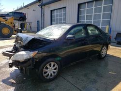 Toyota salvage cars for sale: 2010 Toyota Corolla Base