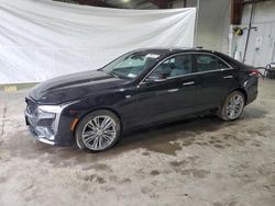 Salvage cars for sale at North Billerica, MA auction: 2023 Cadillac CT4 Premium Luxury