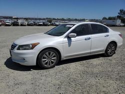 Honda salvage cars for sale: 2012 Honda Accord EXL