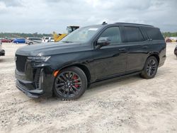 Salvage cars for sale at Houston, TX auction: 2023 Cadillac Escalade V Sport