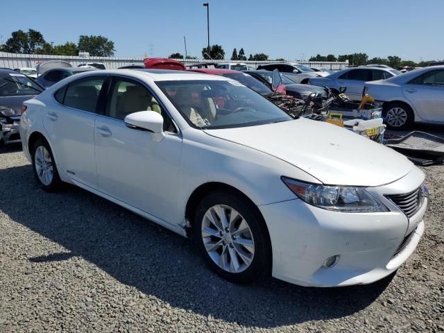 2013 Lexus ES 300H