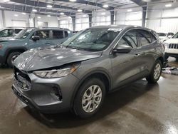 Salvage cars for sale at Ham Lake, MN auction: 2023 Ford Escape Active