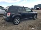 2010 Ford Escape Limited