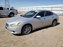 Salvage cars for sale at Adelanto, CA auction: 2010 Nissan Maxima S