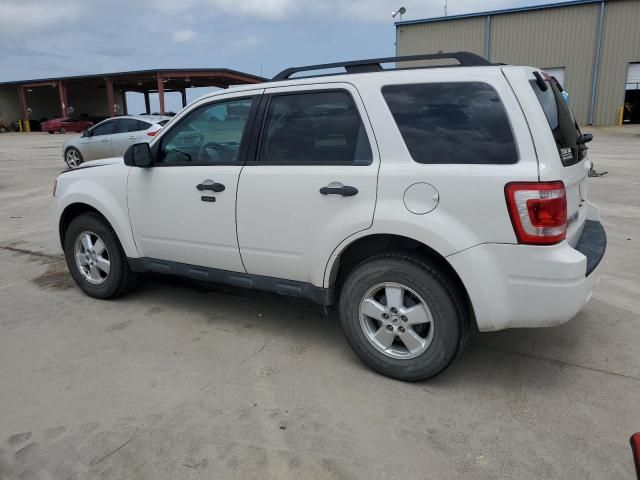 2012 Ford Escape XLT