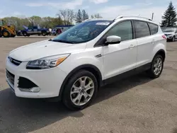 Salvage cars for sale from Copart Ham Lake, MN: 2016 Ford Escape Titanium