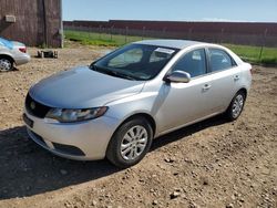 Salvage cars for sale at Rapid City, SD auction: 2010 KIA Forte LX