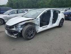 Salvage cars for sale at Glassboro, NJ auction: 2023 Tesla Model 3