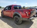 2017 Ford F150 Raptor