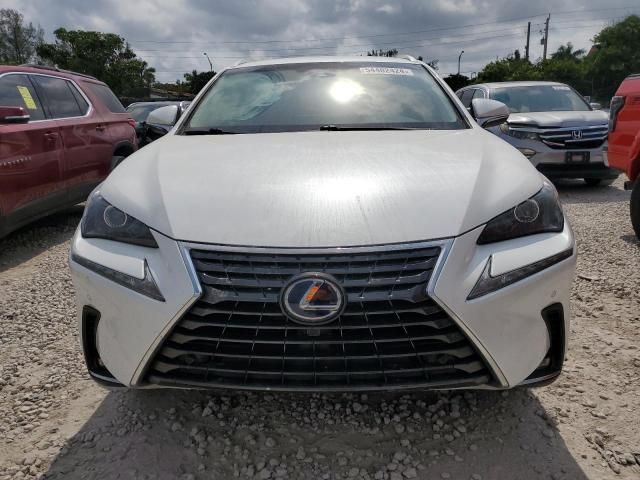 2019 Lexus NX 300H