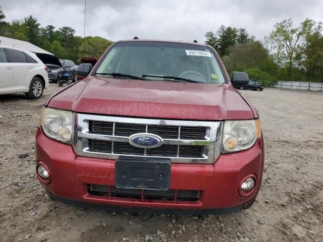 2008 Ford Escape XLT