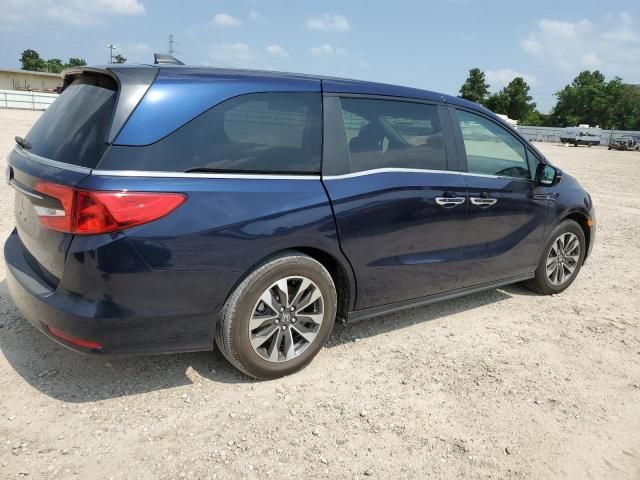 2024 Honda Odyssey EXL