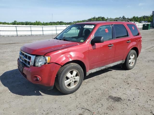 2009 Ford Escape XLT