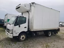 Salvage trucks for sale at Dyer, IN auction: 2019 Hino 195