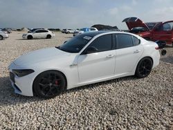 Salvage cars for sale at Temple, TX auction: 2019 Alfa Romeo Giulia