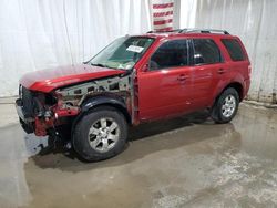 Ford Escape Limited salvage cars for sale: 2012 Ford Escape Limited
