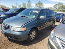 Salvage cars for sale at Elgin, IL auction: 2003 Honda Odyssey EXL