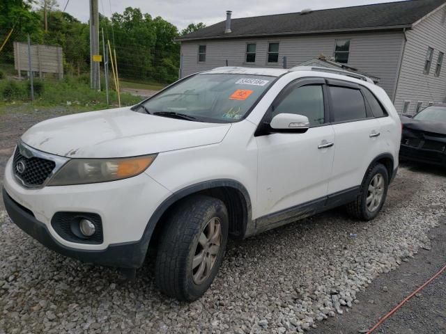 2011 KIA Sorento Base