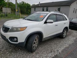 Salvage cars for sale from Copart York Haven, PA: 2011 KIA Sorento Base