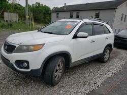 KIA salvage cars for sale: 2011 KIA Sorento Base