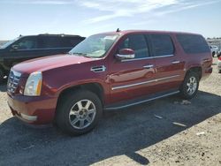 Cadillac Escalade salvage cars for sale: 2007 Cadillac Escalade ESV