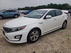 Salvage cars for sale from Copart New Braunfels, TX: 2015 KIA Optima Hybrid