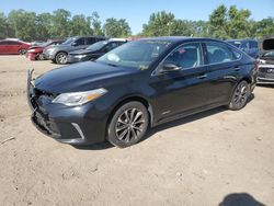 Salvage cars for sale at Baltimore, MD auction: 2017 Toyota Avalon Hybrid